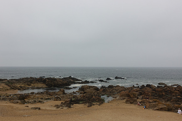 DSC01816