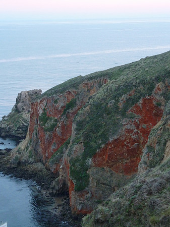 PointReyes_ 043