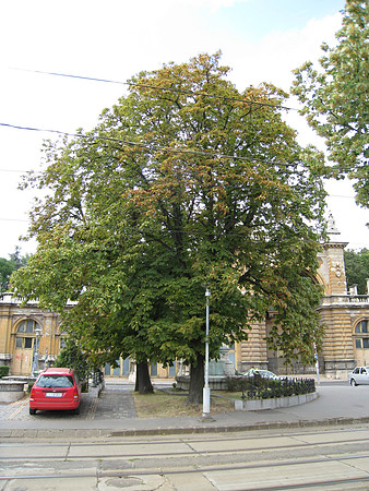 01_Budapest_001