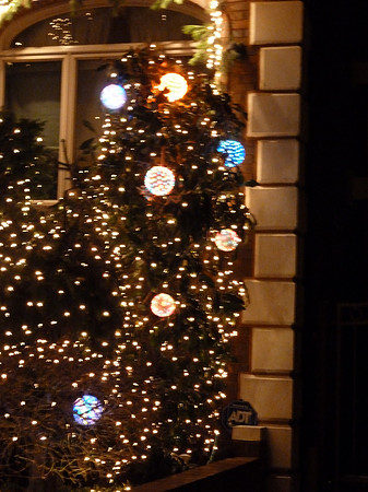 ChristmasLights2010 057