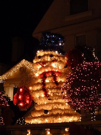 ChristmasLights2010 030
