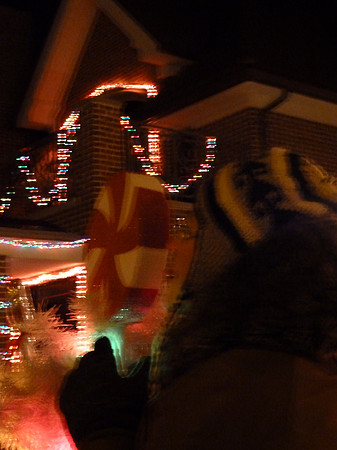 ChristmasLights2010 069