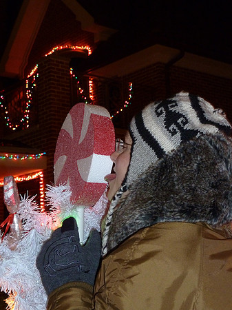 ChristmasLights2010 070