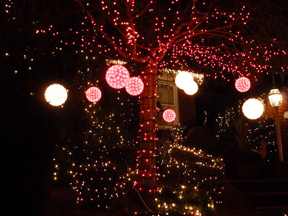 ChristmasLights2010 039