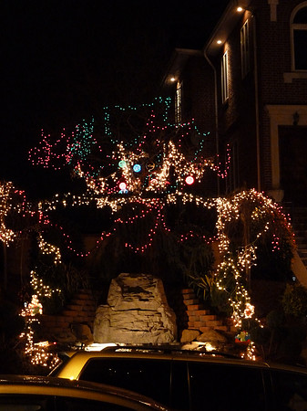 ChristmasLights2010 047