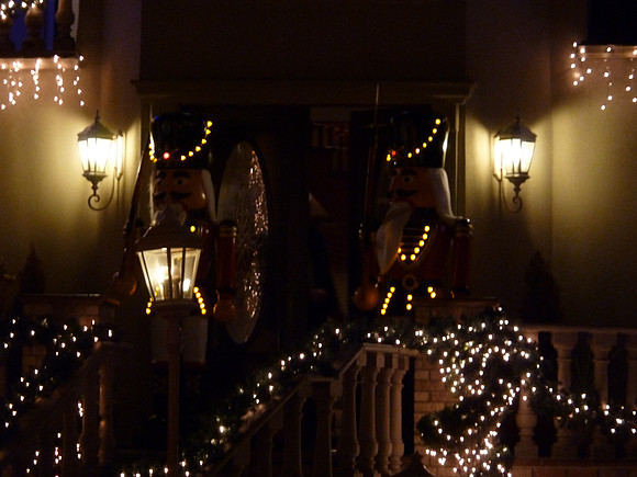 ChristmasLights2010 073