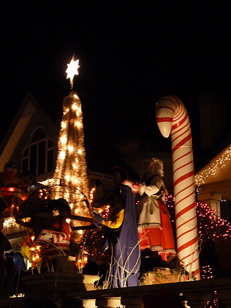 ChristmasLights2010 032