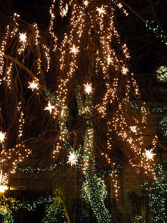 ChristmasLights2010 050