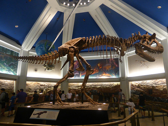 Florida201404_050