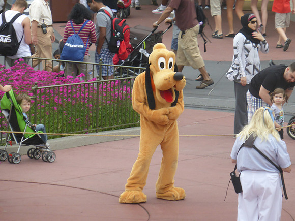Florida201404_083