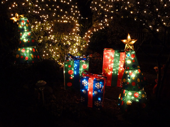 ChristmasLights2010 062