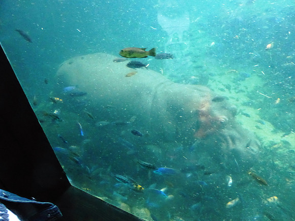 Florida201404_078
