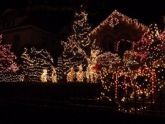 ChristmasLights2010 049