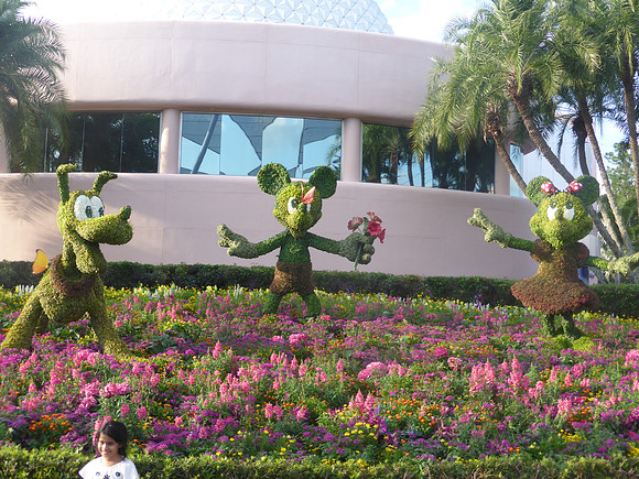 Florida201404_226