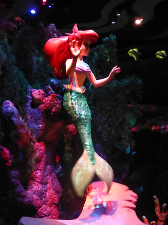 Florida201404_133