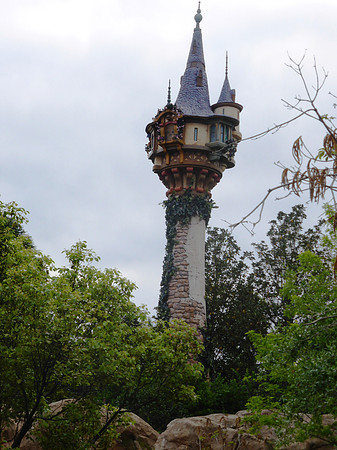 Florida201404_135