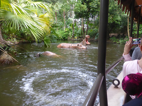 Florida201404_147