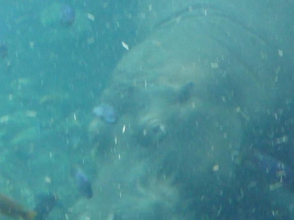 Florida201404_079