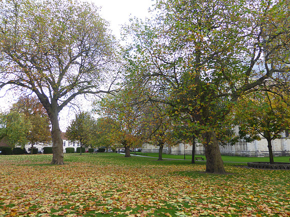 York-037