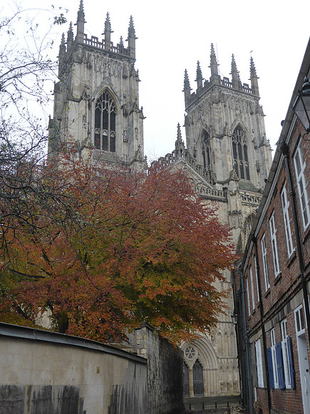 York-082