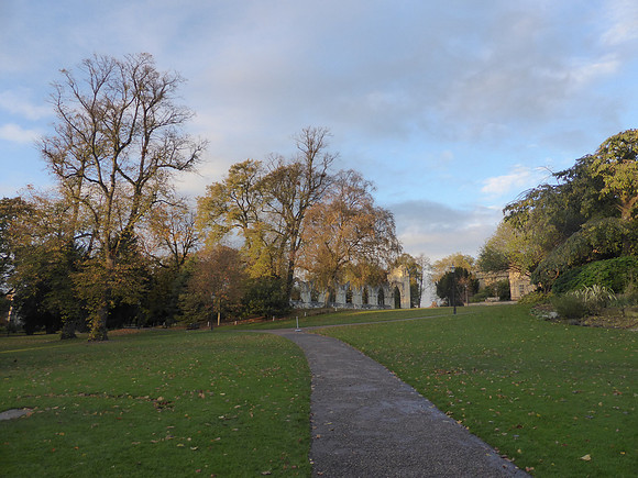 York-054