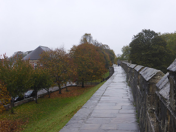 York-077