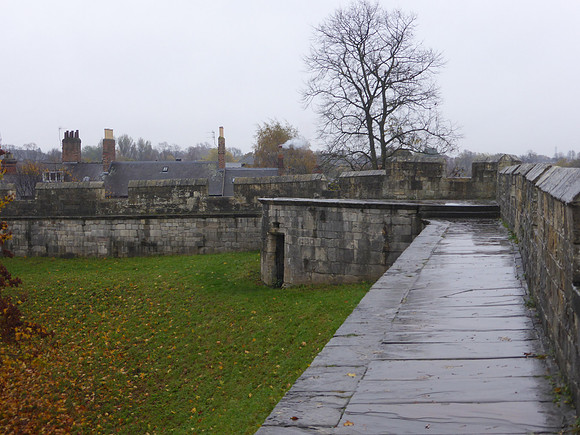 York-079