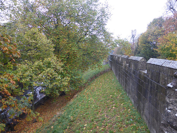York-078