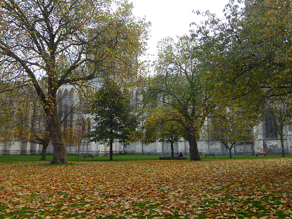 York-040