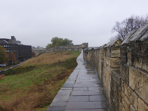 York-073