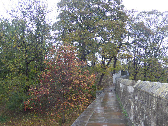 York-080