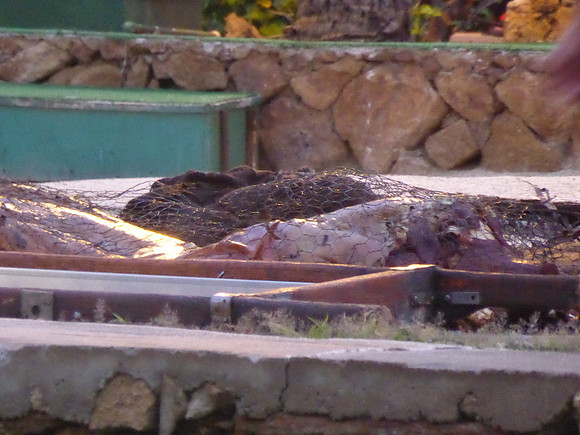HawaiiByIS_0039