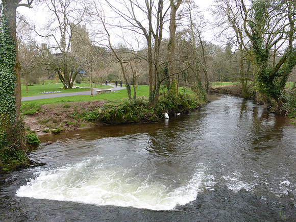 BlarneyCastle-023