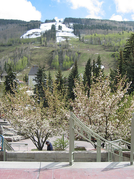 Denver2004-23