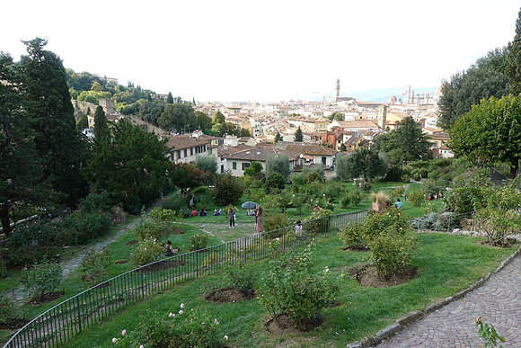 DSC00999