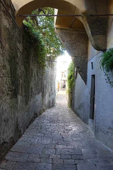 DSC00991