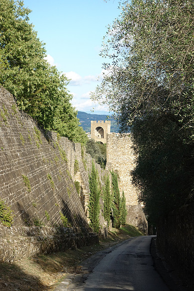 DSC00996