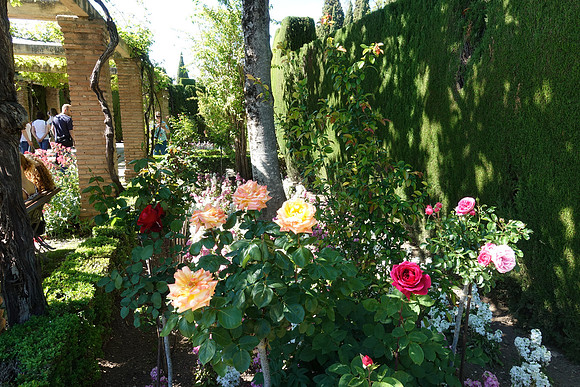 DSC03341