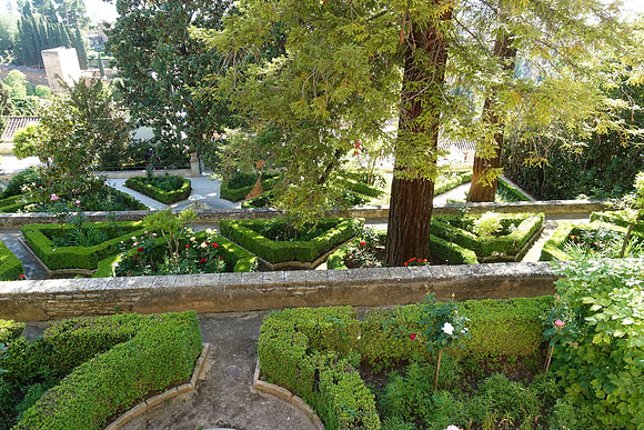DSC03360