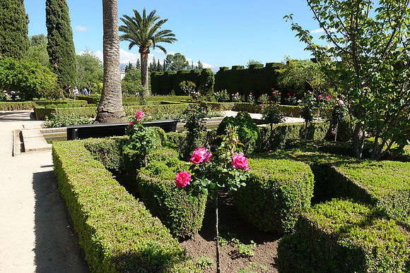 DSC03331