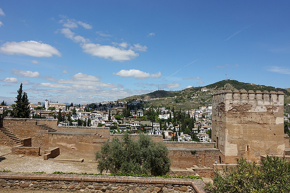 DSC03306