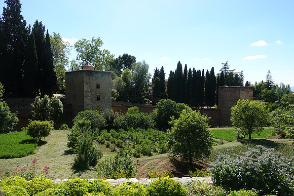 DSC03336
