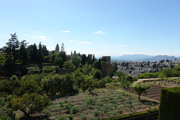 DSC03339