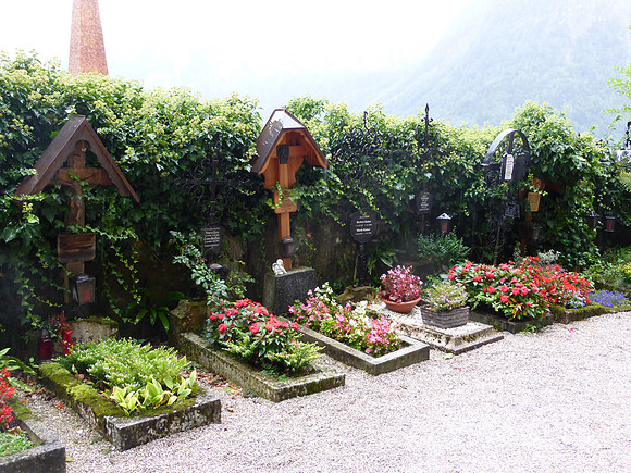 P1030512