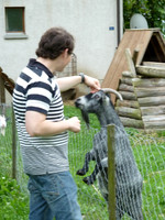 Day 6 - Frutigen