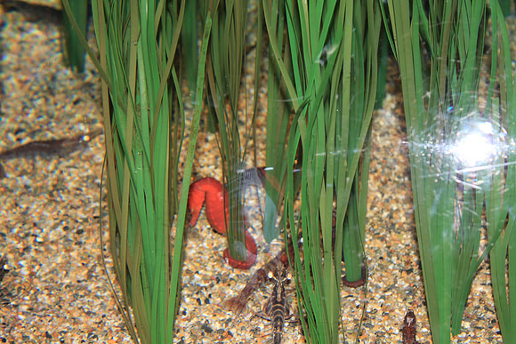 MontereyBay_ 252