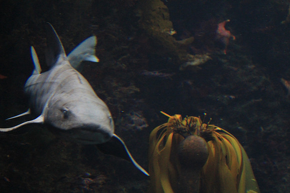 MontereyBay_ 119