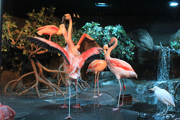 MontereyBay_ 202
