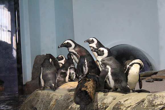 MontereyBay_ 059