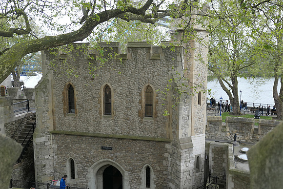 P1010876
